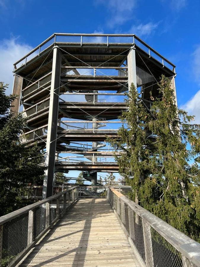 Apartament A121 Molo Lipno S Infrasaunou - Residence Koubek Lipno nad Vltavou Exteriör bild